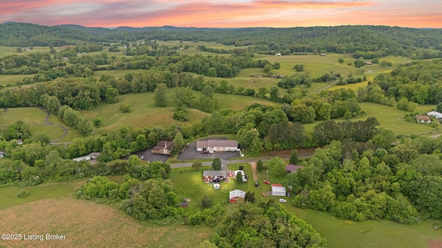 7240 N Jackson Hwy, Magnolia, KY 42757 - photo 63