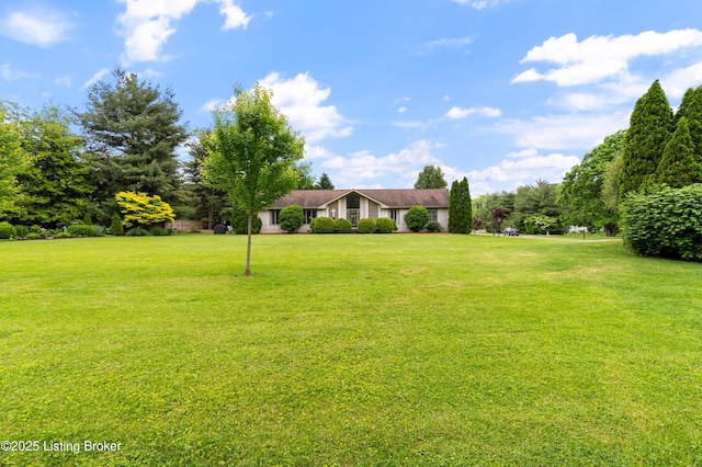 view of grassy yard