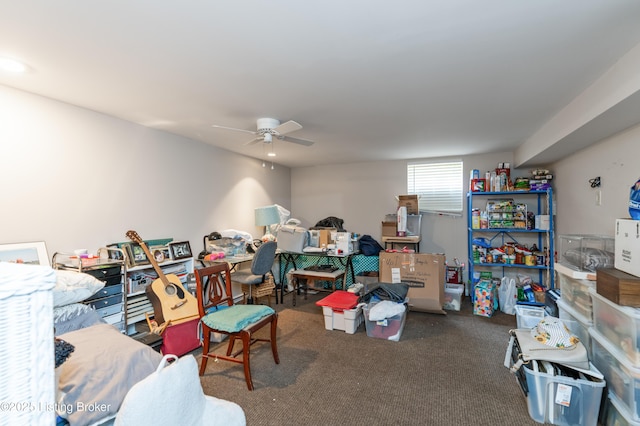 storage with a ceiling fan