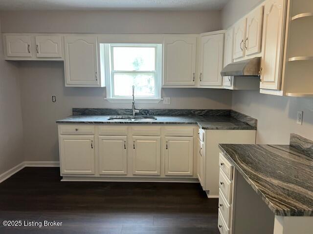 6100 Deady Dr, Louisville, KY 40258 - kitchen with under cabinet range hood, a sink, white cabinets, dark wood-style flooring, and open shelves