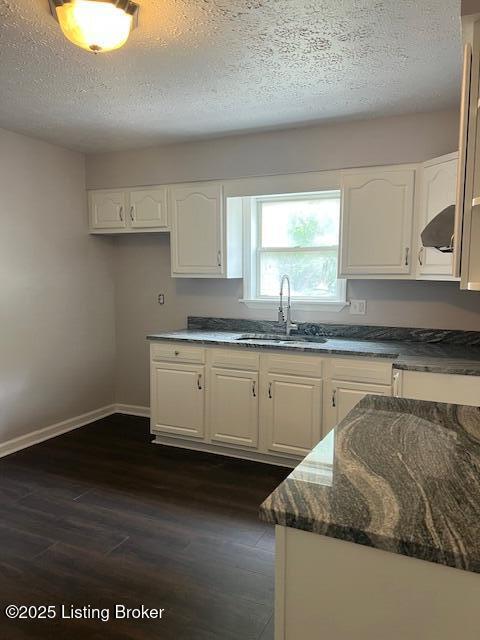 6100 Deady Dr, Louisville, KY 40258 - kitchen featuring a sink, extractor fan, dark wood-type flooring, a textured ceiling, and white cabinets