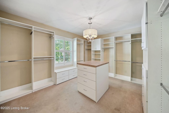 spacious closet featuring light colored carpet