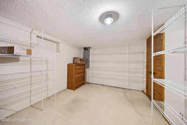spacious closet with carpet and electric panel