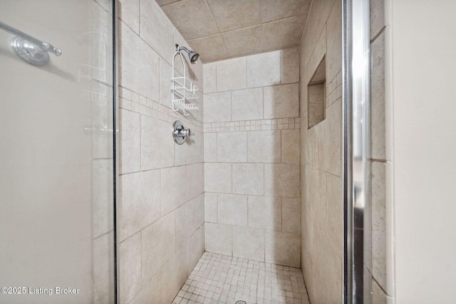 full bath featuring a shower stall
