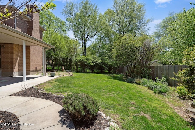 view of yard featuring a patio area