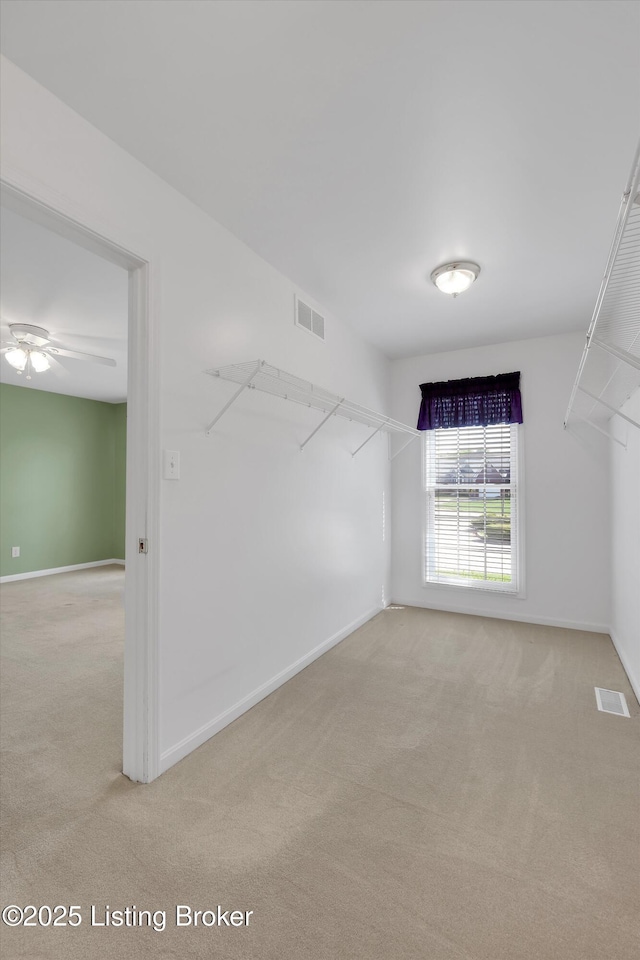 7728 Cottage Cove Way, Louisville, KY 40214 - walk in closet with carpet floors and ceiling fan