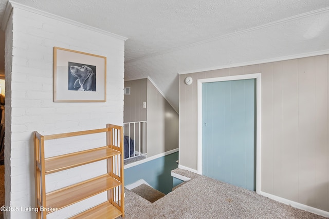 17 Denham Rd, Louisville, KY 40205 - bonus room featuring a textured ceiling and carpet flooring
