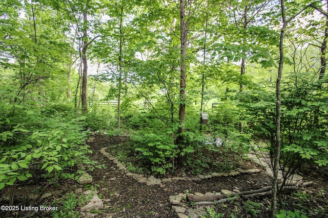 12109 Vanherr Dr, Louisville, KY 40299 - photo 65