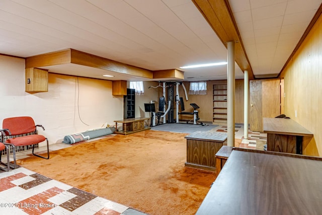 4305 Darbrook Rd, Louisville, KY 40207 - below grade area featuring carpet floors