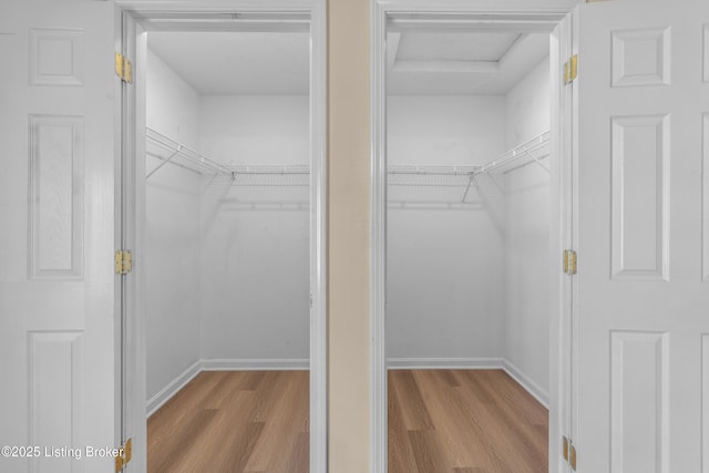 walk in closet featuring wood finished floors