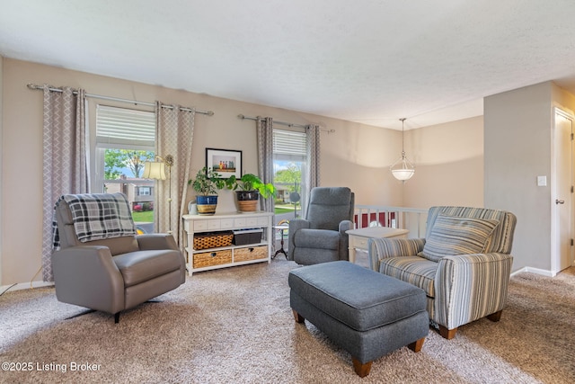 sitting room with carpet flooring