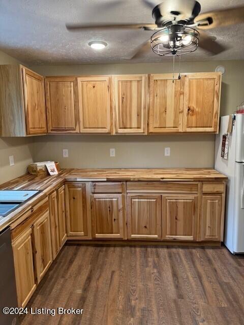 116 Spring Meadow Cir, Campbellsville, KY 42718 - kitchen featuring freestanding refrigerator, ceiling fan, dark wood-type flooring, stainless steel dishwasher, and a textured ceiling