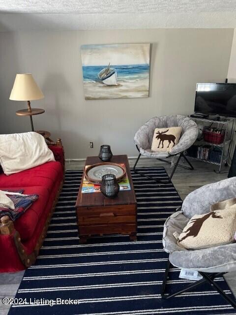 116 Spring Meadow Cir, Campbellsville, KY 42718 - living area with a textured ceiling