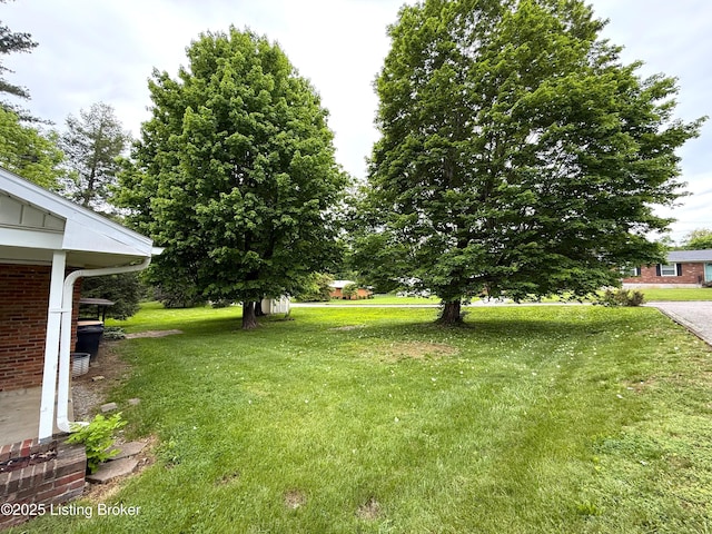 701 Dogwood Dr, Elizabethtown, KY 42701 - view of green lawn