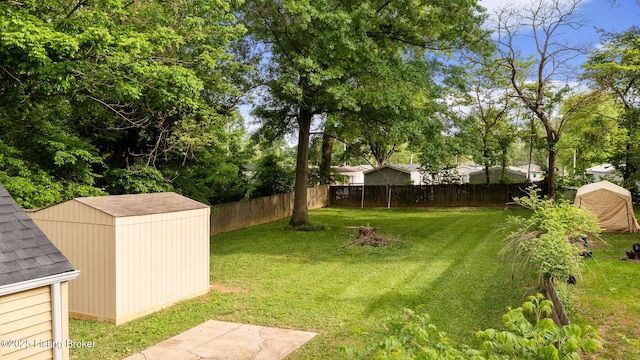 7802 Edna M Rd, Louisville, KY 40258 - view of yard featuring a storage unit and an outbuilding