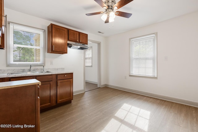 7802 Edna M Rd, Louisville, KY 40258 - kitchen with under cabinet range hood, light countertops, ceiling fan, and light wood-type flooring