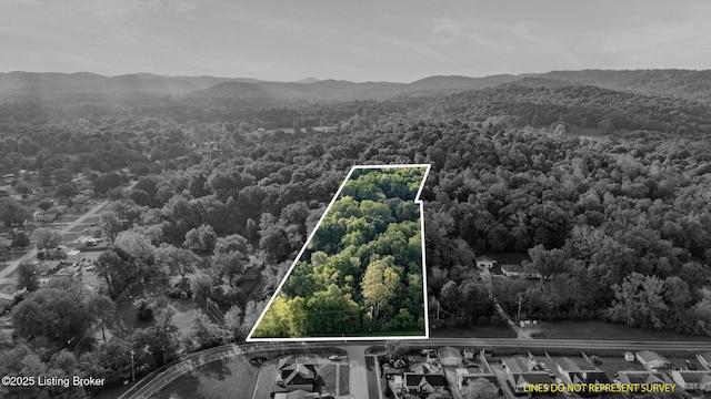 10515 Mitchell Hill Rd, Fairdale, KY 40118