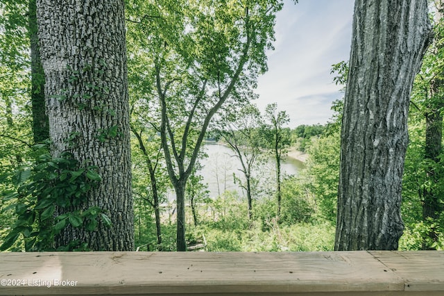 656 Hinton Hills Loop, Hardinsburg, KY 40143 - water view