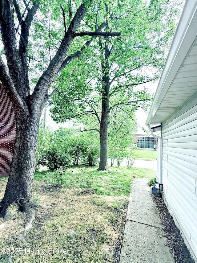713 E Hill St, Louisville, KY 40217 - view of yard
