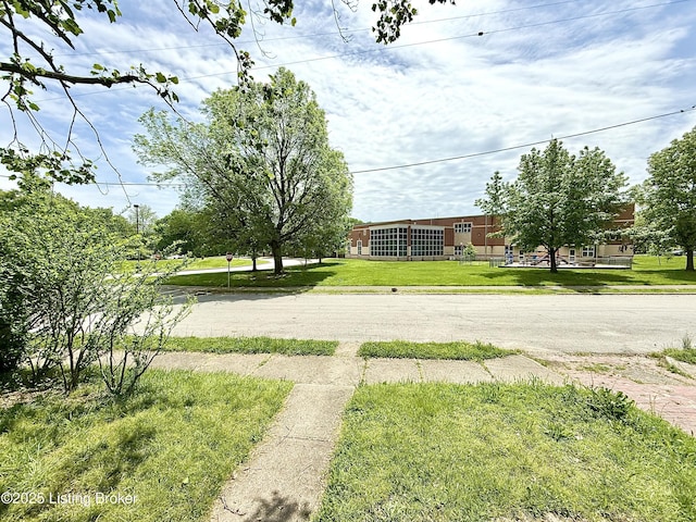 713 E Hill St, Louisville, KY 40217 - view of green lawn
