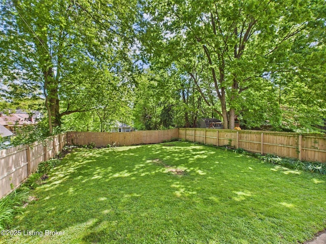 113 Blackburn Ave, Louisville, KY 40206 - photo 40