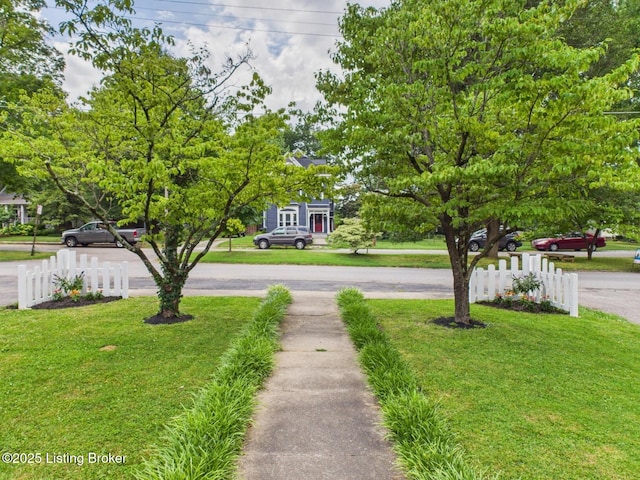 113 Blackburn Ave, Louisville, KY 40206 - photo 5