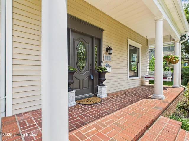 113 Blackburn Ave, Louisville, KY 40206 - photo 7