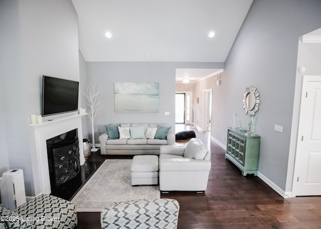 8812 Sanctuary Ln, Louisville, KY 40291 - living area featuring lofted ceiling, wood finished floors, baseboards, radiator, and a fireplace