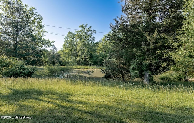 4640 Ridge Rd, Shepherdsville, KY 40165 - photo 50