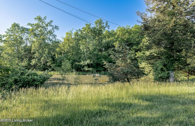 4640 Ridge Rd, Shepherdsville, KY 40165 - photo 49