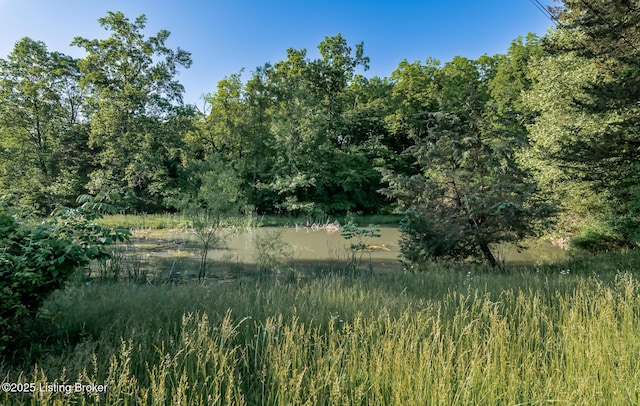4640 Ridge Rd, Shepherdsville, KY 40165 - photo 51