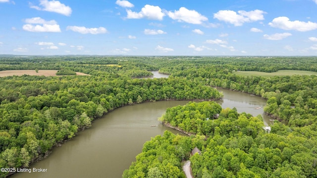 aerial view of a forest and a nearby body of water