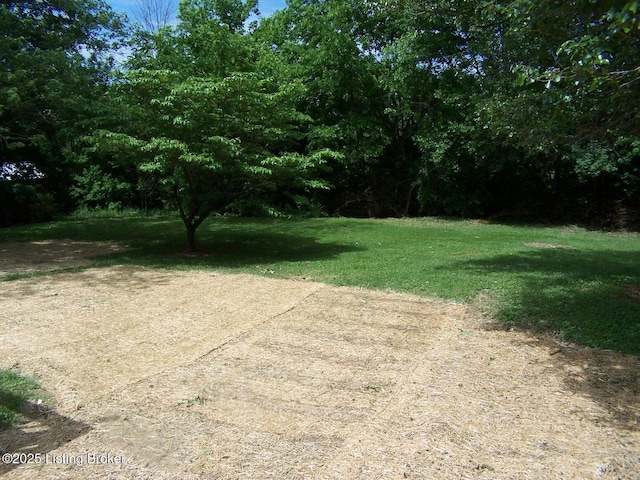 132 Goodloe Ave, Bloomfield, KY 40008 - view of grassy yard