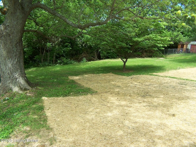 132 Goodloe Ave, Bloomfield, KY 40008 - view of yard