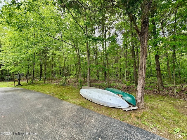 2212 Duff Rd, Leitchfield, KY 42754 - view of road featuring a forest view