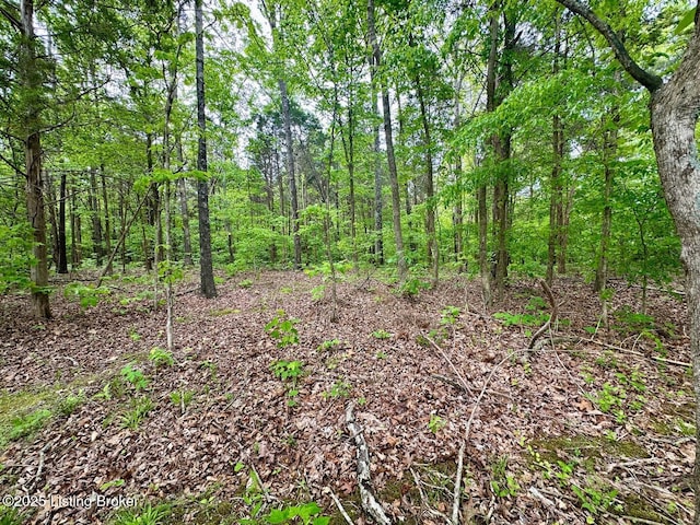2212 Duff Rd, Leitchfield, KY 42754 - view of tree filled area
