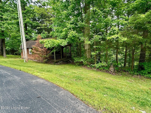 2212 Duff Rd, Leitchfield, KY 42754 - view of green lawn