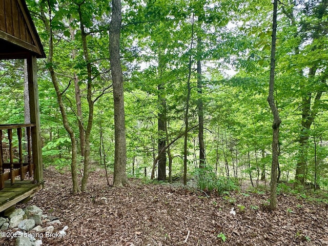 2212 Duff Rd, Leitchfield, KY 42754 - view of wooded area