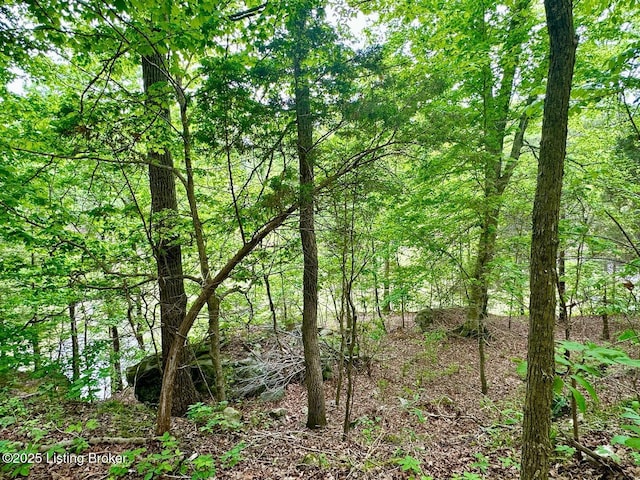 2212 Duff Rd, Leitchfield, KY 42754 - view of tree filled area