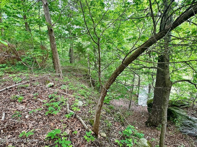 2212 Duff Rd, Leitchfield, KY 42754 - view of wooded area