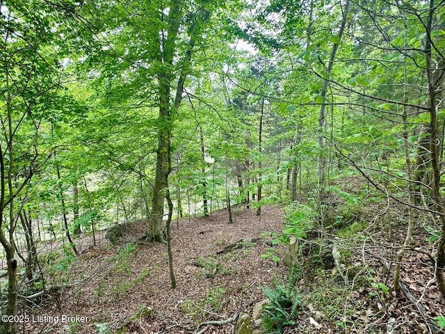 2212 Duff Rd, Leitchfield, KY 42754 - view of tree filled area