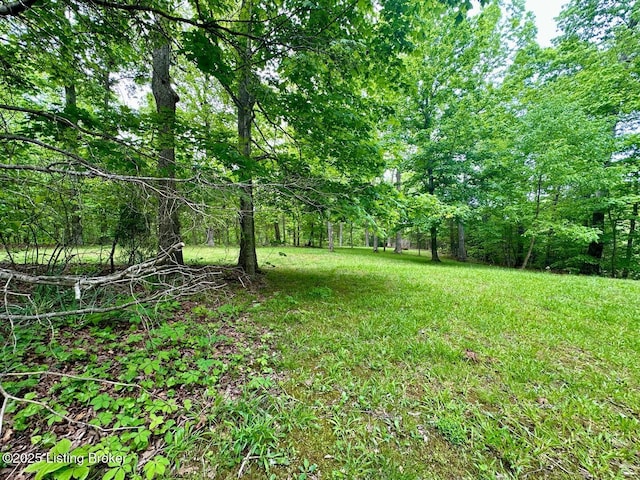 2212 Duff Rd, Leitchfield, KY 42754 - view of green lawn