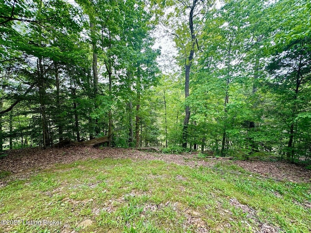 2212 Duff Rd, Leitchfield, KY 42754 - view of yard with a wooded view