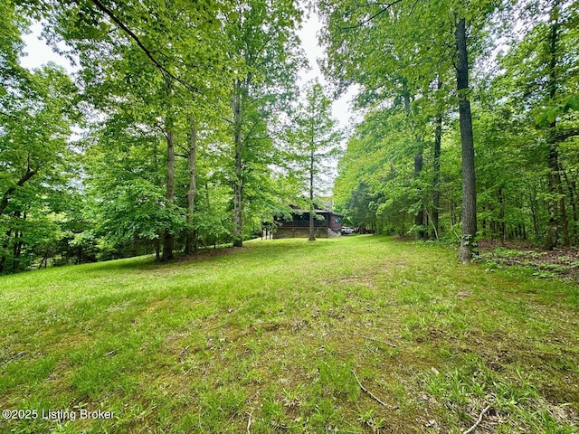 2212 Duff Rd, Leitchfield, KY 42754 - view of yard with a view of trees