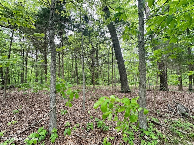 2212 Duff Rd, Leitchfield, KY 42754 - view of woods