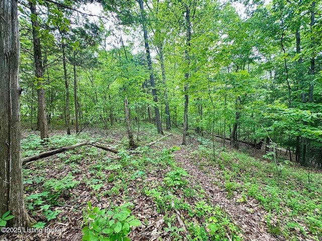 2212 Duff Rd, Leitchfield, KY 42754 - view of tree filled area