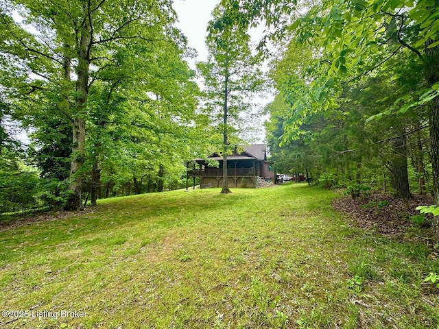 2212 Duff Rd, Leitchfield, KY 42754 - view of green lawn featuring a wooden deck and a forest view