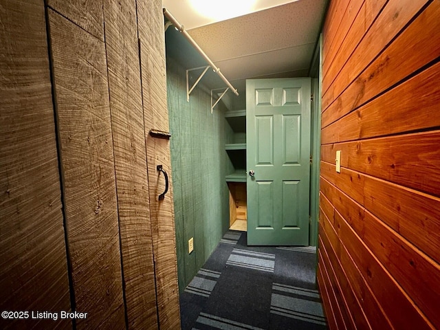 2212 Duff Rd, Leitchfield, KY 42754 - walk in closet featuring carpet floors
