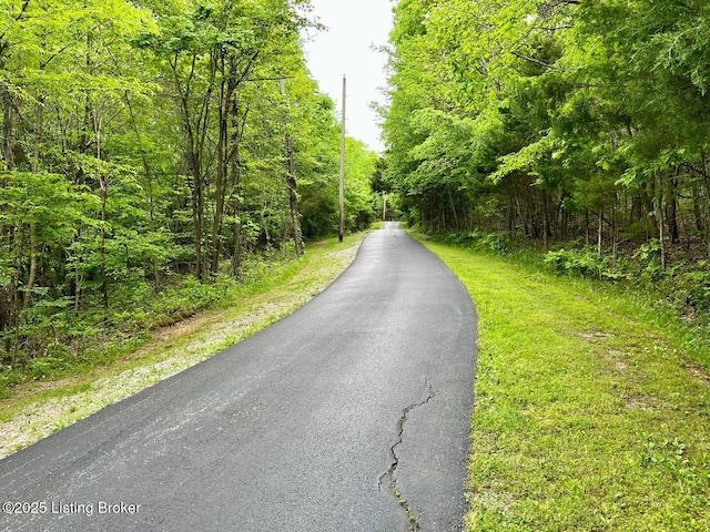 2212 Duff Rd, Leitchfield, KY 42754 - view of road with a view of trees