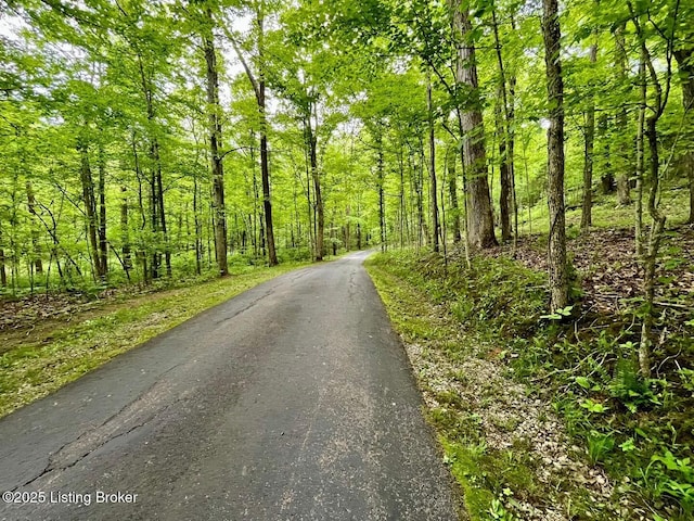 2212 Duff Rd, Leitchfield, KY 42754 - view of street with a wooded view